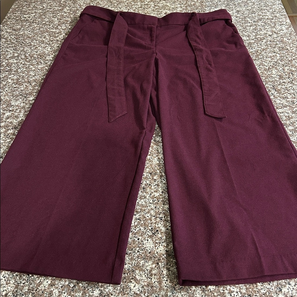 Loft Burgundy soft Wide-Leg Pants cropped